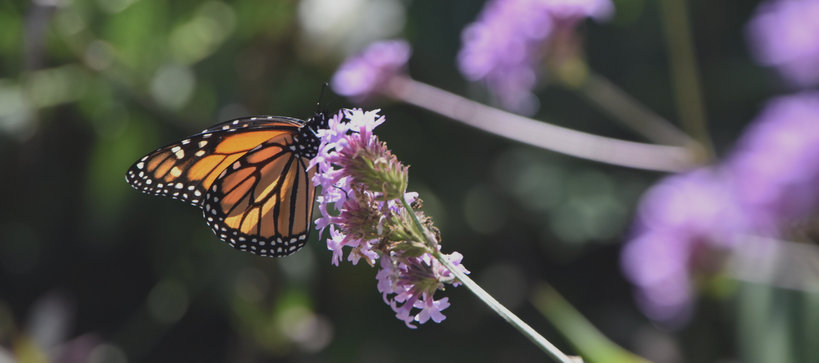 Screen Shot 2022-04-10 at 9.01.36 PM